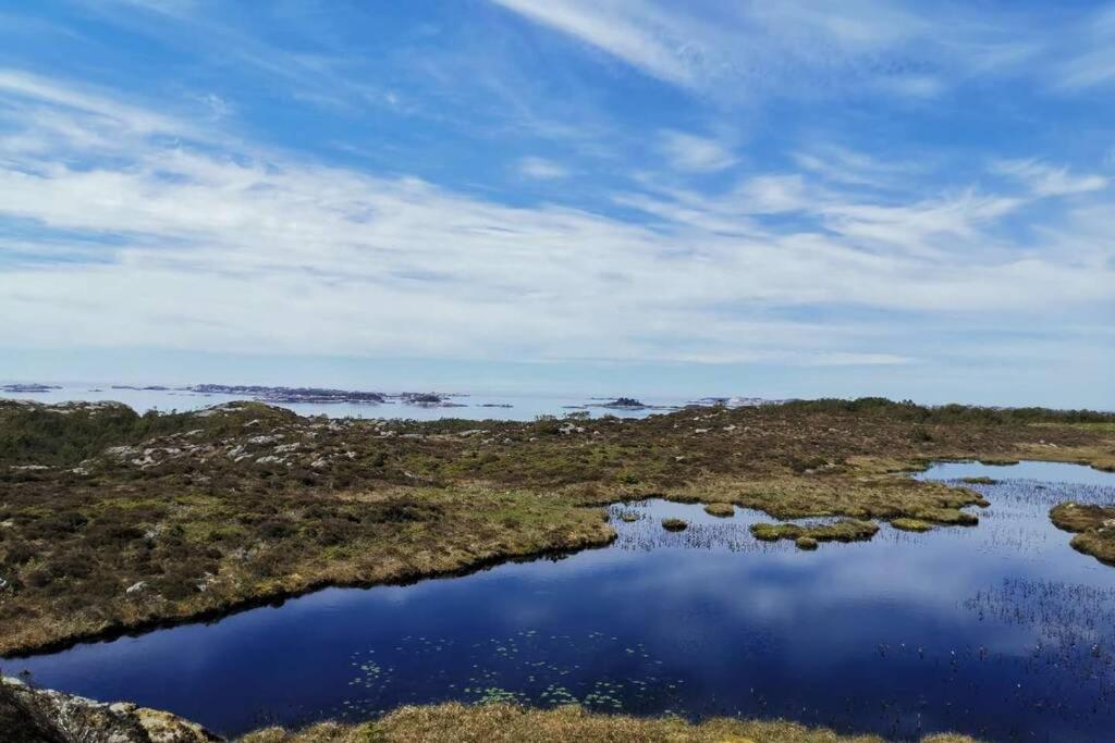 Seaside Holiday Home, Great For Fishing & Hiking Hellesoyni Екстериор снимка